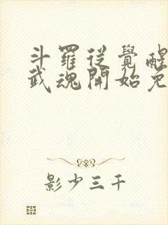 斗罗从觉醒朱雀武魂开始免费阅读