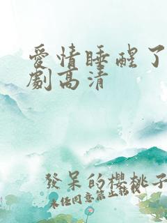 爱情睡醒了电视剧高清