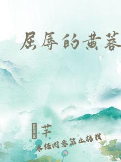屈辱的黄蓉