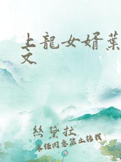 上龙女婿叶辰全文