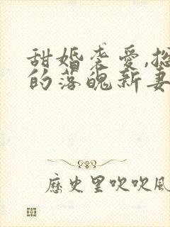 甜婚袭爱,总裁的落魄新妻 月容公子