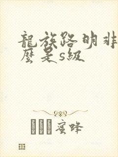 龙族路明非为什么是s级