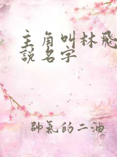 主角叫林飞的小说名字