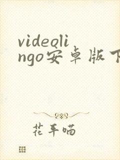 videolingo安卓版下载