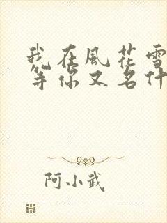 我在风花雪月里等你又名什么