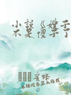 小说《嫂子我真不是傻子了叶凡》