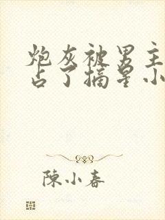 炮灰被男主们强占了摘星小说