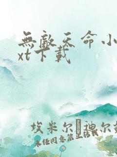 无敌天命小说txt下载