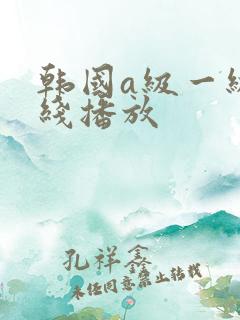 韩国a级一级在线播放