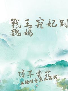 战王宠妃别太甜魏嫣