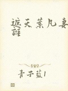遮天叶凡妻子是谁