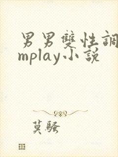 男男双性调教smplay小说