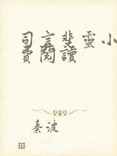司言斐灵小说免费阅读