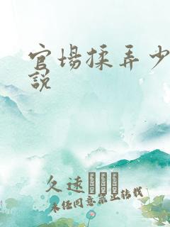 官场揉弄少妇小说