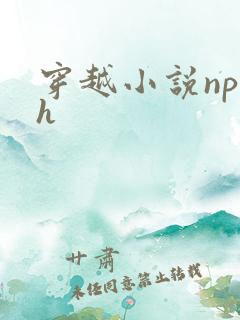 穿越小说np高h