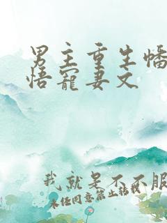 男主重生幡然醒悟宠妻文