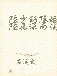陆少的隐婚罪妻陆见深南溪