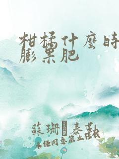柑橘什么时候施膨果肥