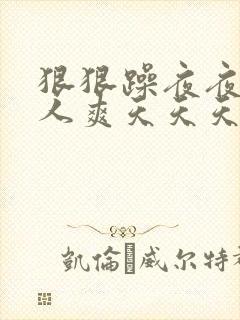 狠狠躁夜夜躁人人爽天天天天,狠狠躁夜夜躁