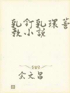 乳钉乳环蒂环调教小说