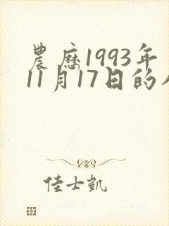 农历1993年11月17日的八字