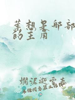 叶想是哪部小说的主角