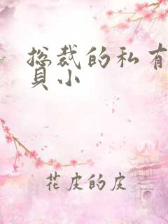 总裁的私有小宝贝小
