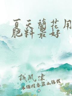 夏天兰花用什么肥料最好