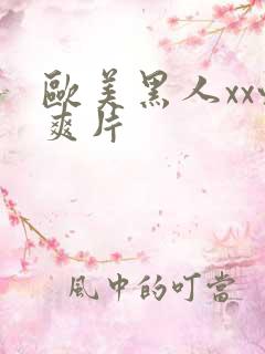 欧美黑人xx性爽片