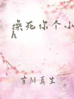 操死你个小骚货h