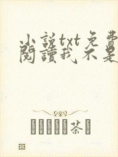 小说txt免费阅读我不是戏神