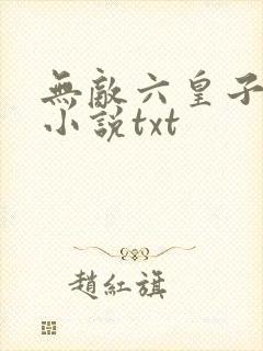 无敌六皇子云铮小说txt