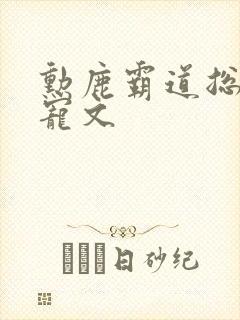 勋鹿霸道总裁甜宠文