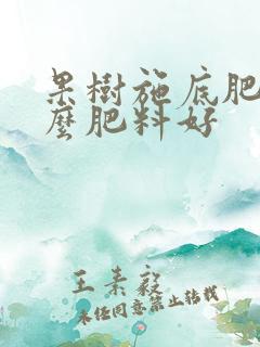 果树施底肥用什么肥料好