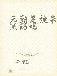 元朝是被朱元璋灭的吗
