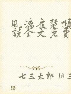 风漓夜楚倾歌小说全文免费阅读