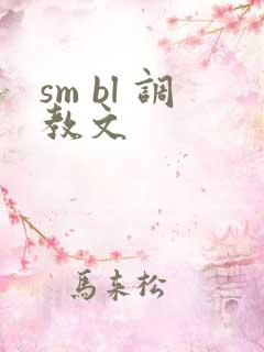 sm bl 调教文