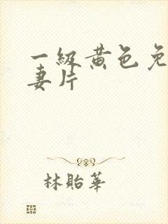 一级黄色免费夫妻片