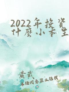 2022年投资什么小本生意好