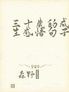 三十岁的成熟人生感悟句子