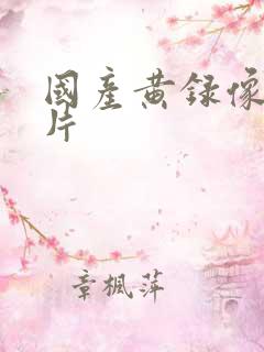 国产黄录像一级片