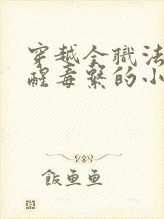 穿越全职法师觉醒毒系的小说