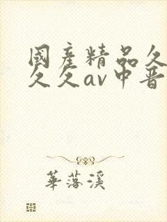 国产精品久久久久久av中晋
