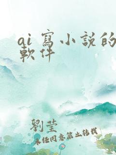 ai 写小说的软件