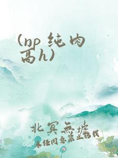 (np 纯肉 高h)