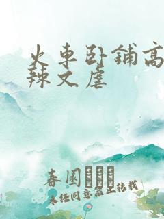 火车卧铺高h肉辣文虐