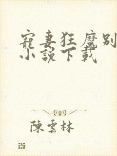 宠妻狂魔别太坏小说下载