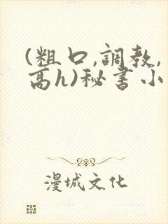 (粗口,调教,高h)秘书小说