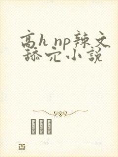 高h np辣文 舔穴小说