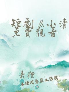 短剧《小清欢》免费观看